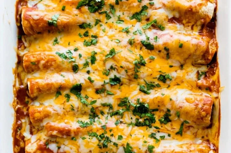Delicious easy chicken enchiladas served on a plate with toppings