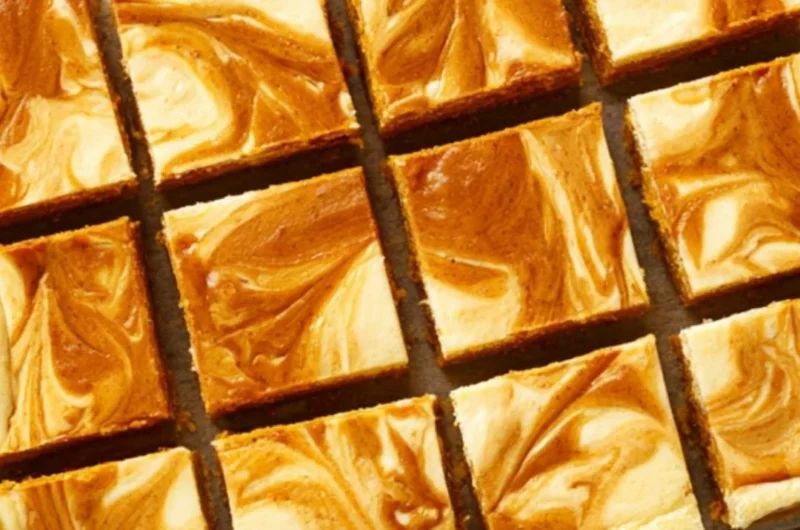 Swirled pumpkin cheesecake bars with a creamy texture and pumpkin topping.